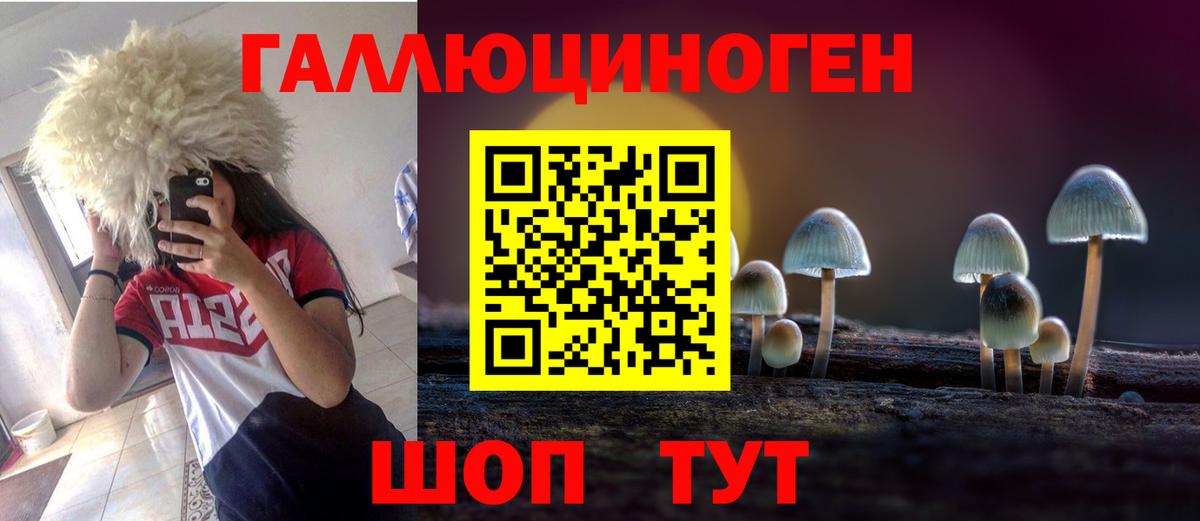 Галлюциногенные грибы мухоморы Дальнереченск